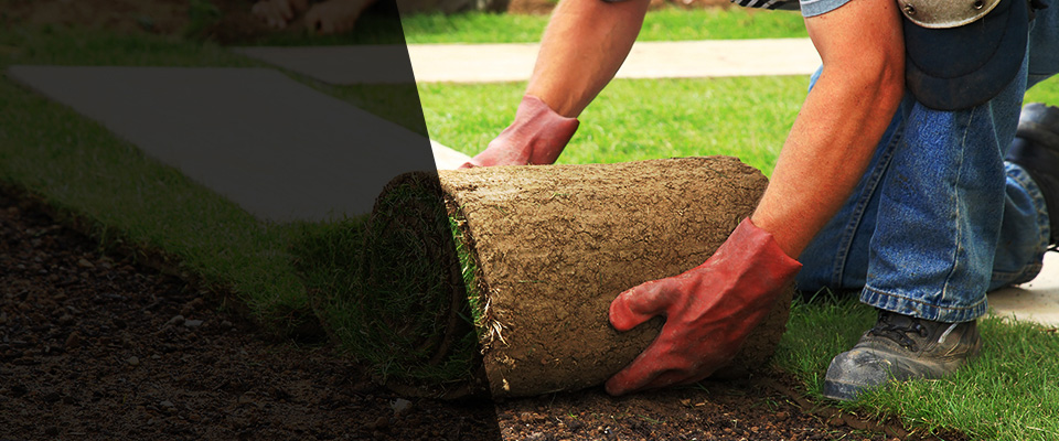 Myrtle Creek Landscapers